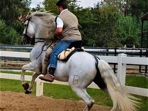  Caballo de hierro de bohorquez 
