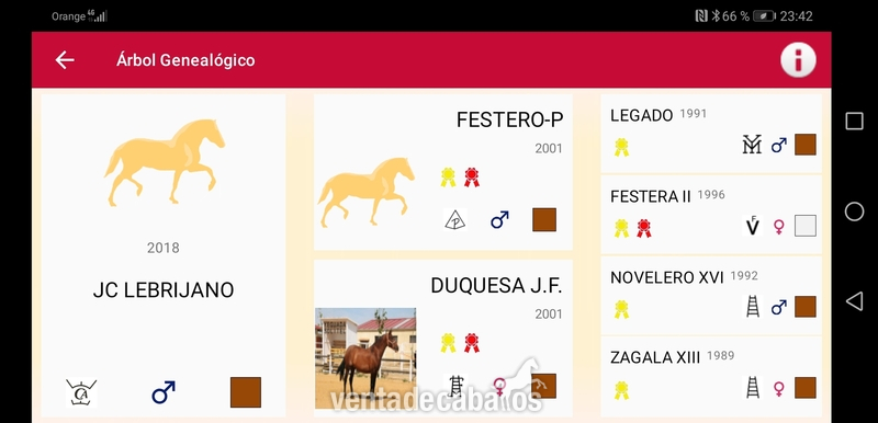 Pura raza española 