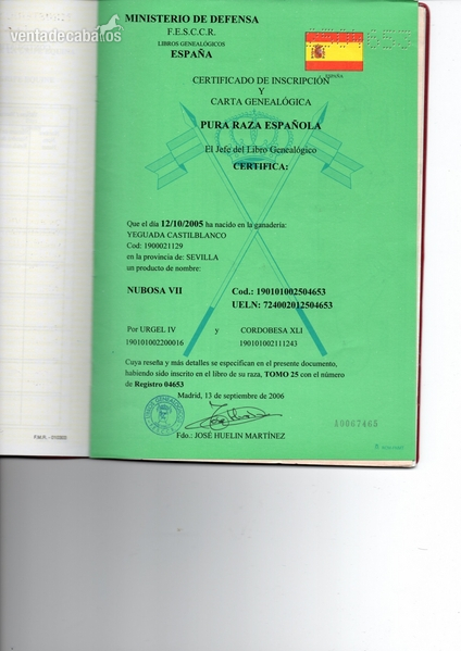 Pura Raza Española {TYPE}