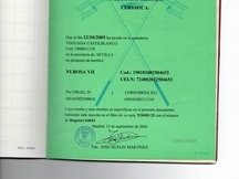 YEGUA P, R, E NUBOSA VII 2005