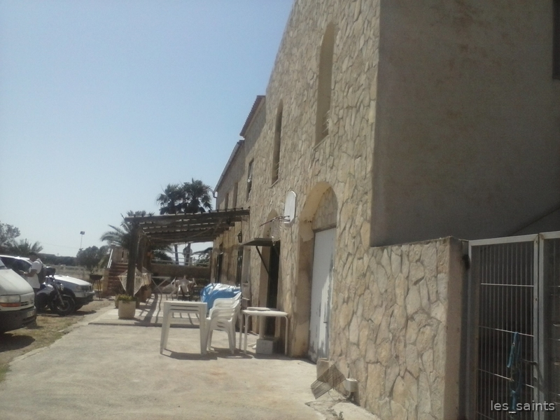 Mallorca  Gorgeous horse property