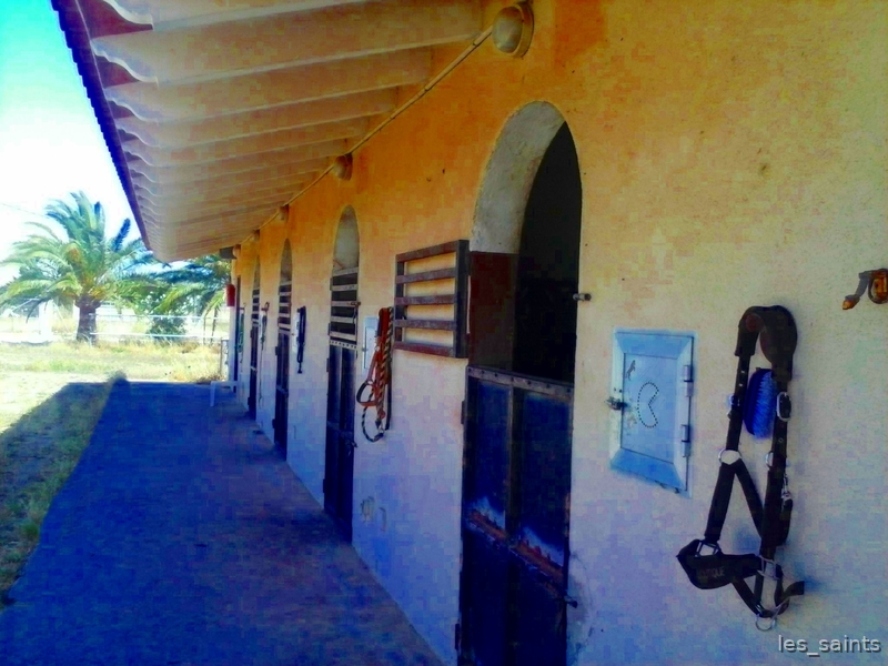 palma de mallorca Mallorca  Gorgeous horse property