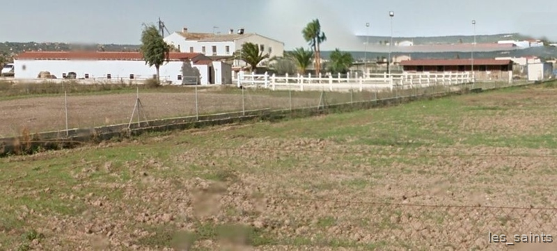 Mallorca  Gorgeous horse property - Finca ecuestre in palma de mallorca