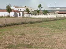 Mallorca Gorgeous horse property