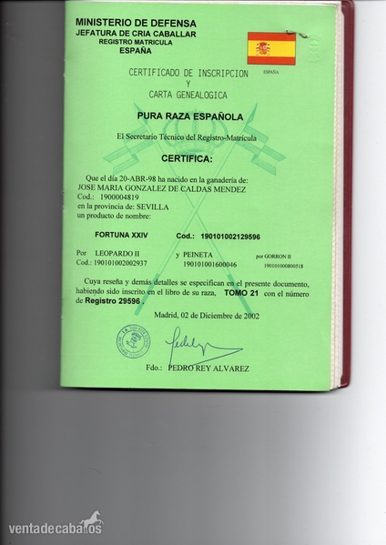 Pura Raza Española