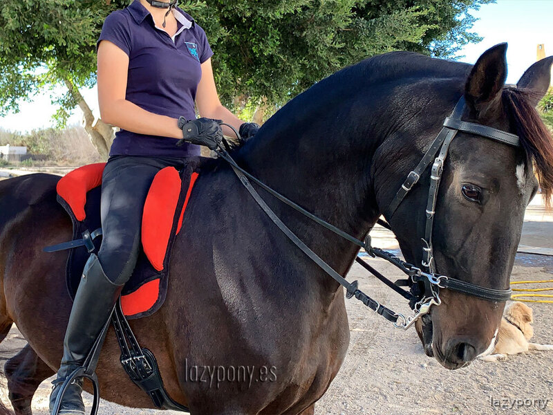 Silla Sudadero Bareback Dressage LP \ Bareback Pad Dressage LP in 