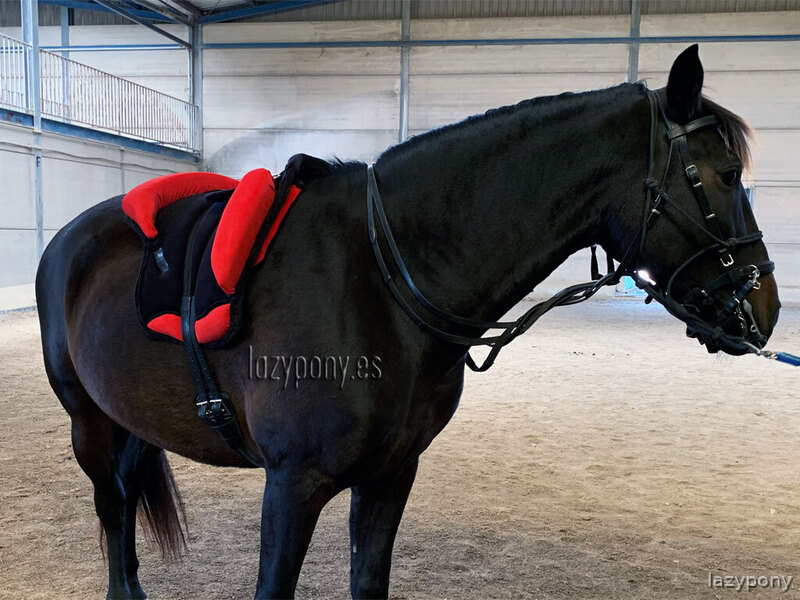  Silla Sudadero Bareback Dressage LP \ Bareback Pad Dressage LP