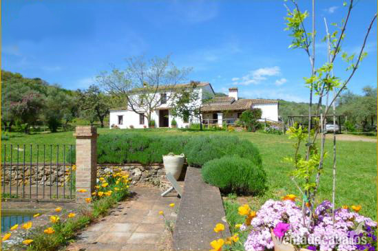 INOLVIDABLE FINCA ECUESTRE  in Aracena