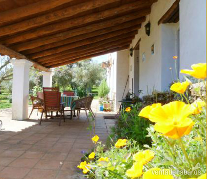 INOLVIDABLE FINCA ECUESTRE 