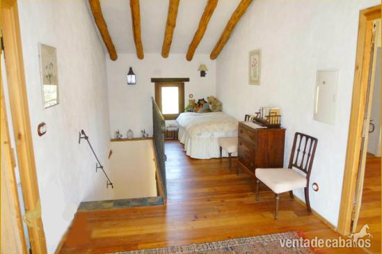 INOLVIDABLE FINCA ECUESTRE  - Finca ecuestre