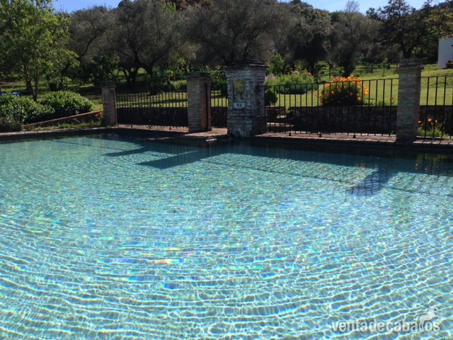 INOLVIDABLE FINCA ECUESTRE  Aracena