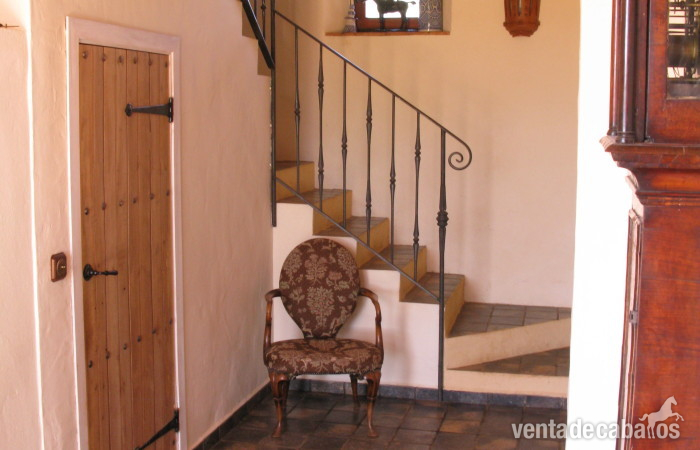 Finca ecuestre - INOLVIDABLE FINCA ECUESTRE 