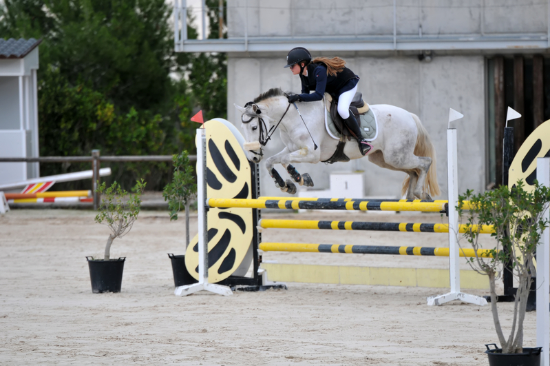  Caballo de salto