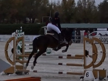 Yegua de salto