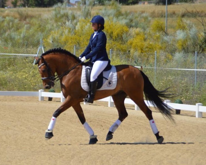 Hispano-Arabe