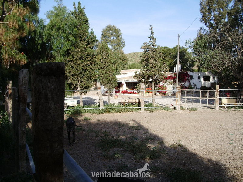 EXCLUSIVA FINCA CON CORTIJO EN AGUILAS, COSTA CALIDA, (MURCIA)