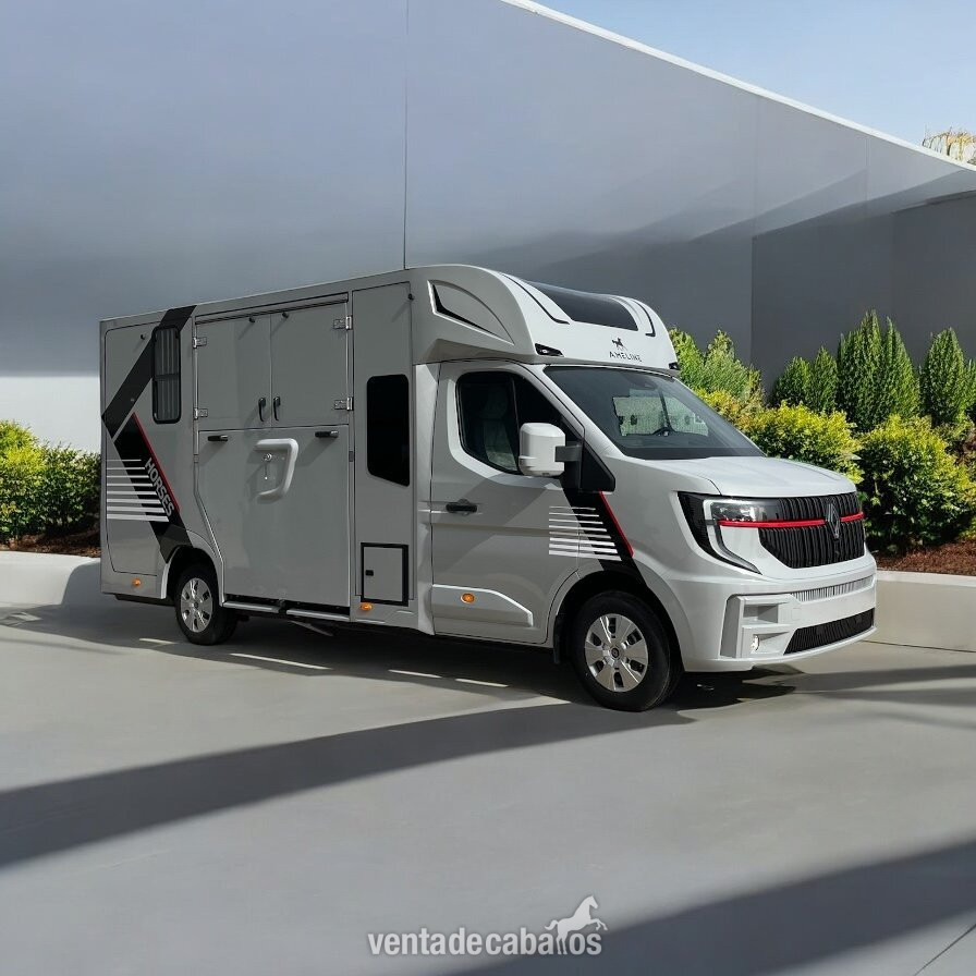 Fabricante de furgoneta para caballos de alta gama  - Transportes de caballos in 