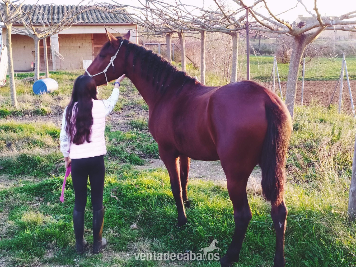 Conjunto de 2 propiedades con instalaciones ecuestres Cassà de la Selva, Girona