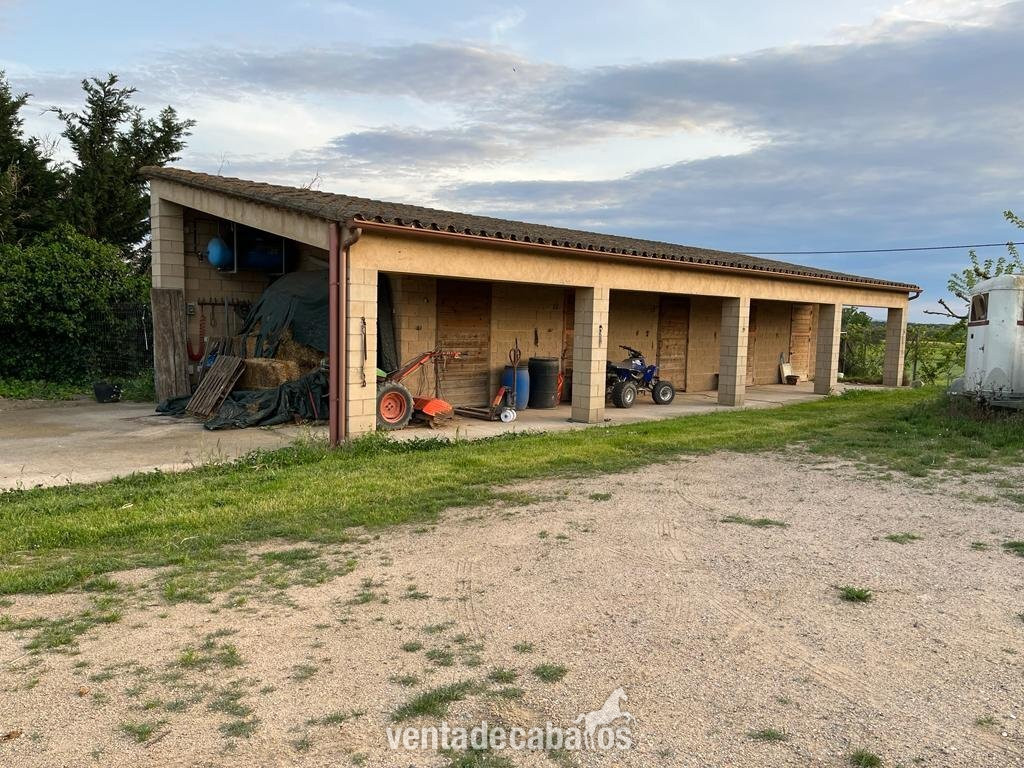 Conjunto de 2 propiedades con instalaciones ecuestres - Finca ecuestre