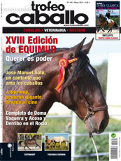 disponible para cubriciones in 