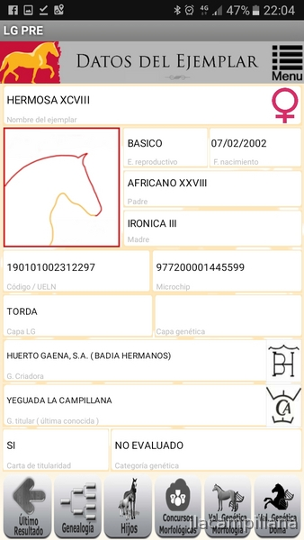 Pura raxa española