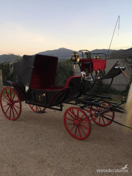 Calesa en perfecto estado para tronco y limonera - Carruajes y Enganches in 