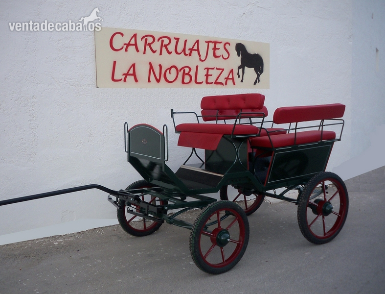 Carruaje para Mendez y Pony in 