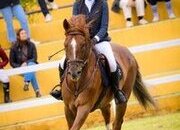 Quiero compartir mi caballo en Madrid, El Pardo