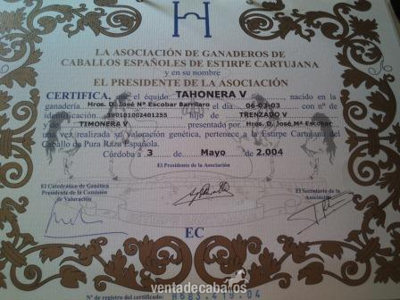 Cartujano