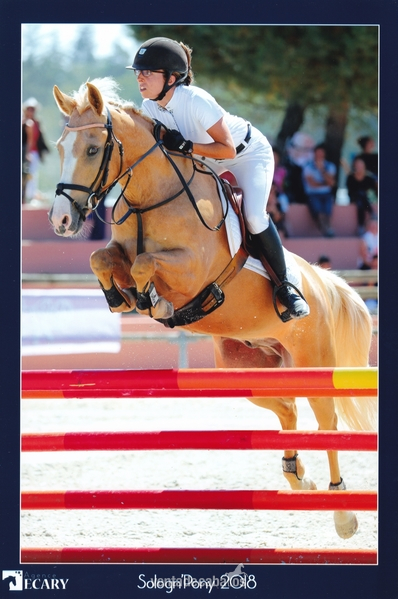 Poni C exceptional in 