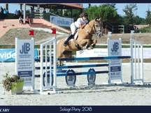 Poni C exceptional
