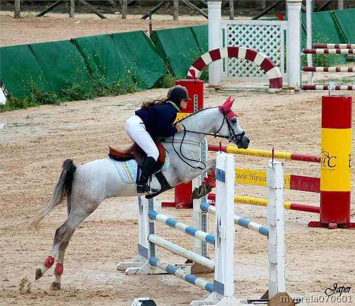  Pony D PRÁ 6 AÑOS
