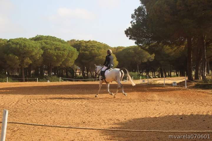 Pony D PRÁ 6 AÑOS - Caballos Árabes