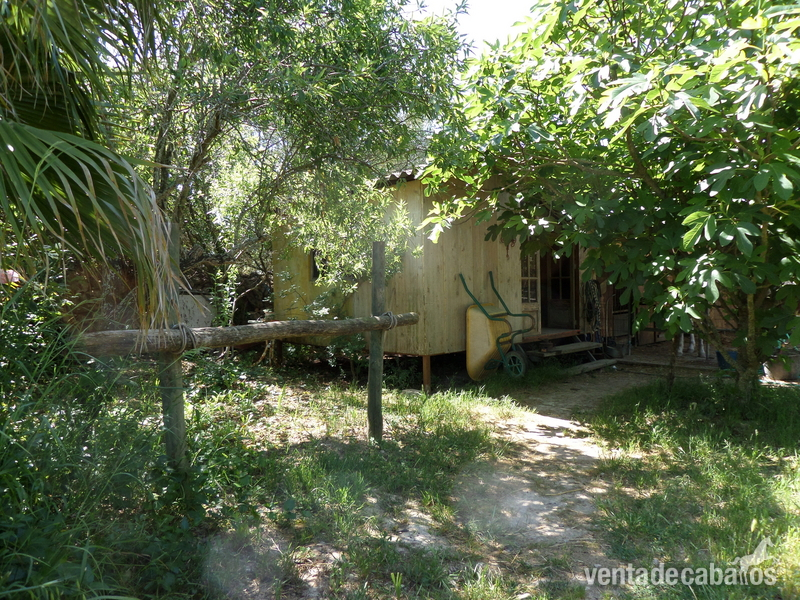 Santa Margarita Finca con casa y establos para 3 caballos