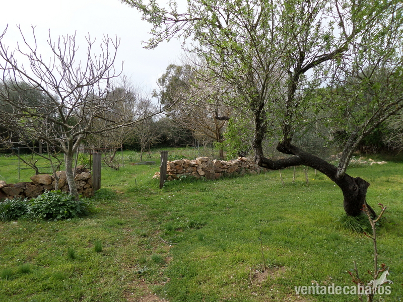 Finca con casa y establos para 3 caballos - Finca ecuestre in Santa Margarita