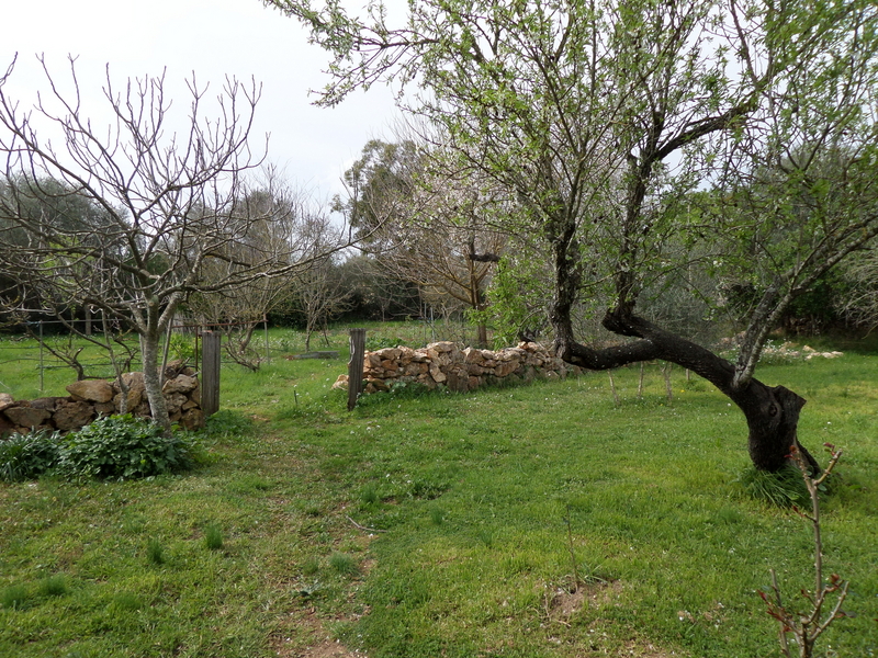 Finca con casa y establos para 3 caballos - Finca ecuestre in Santa Margarita