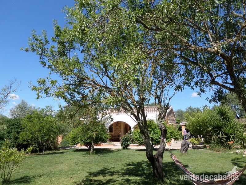 Finca con casa y establos para 3 caballos Santa Margarita