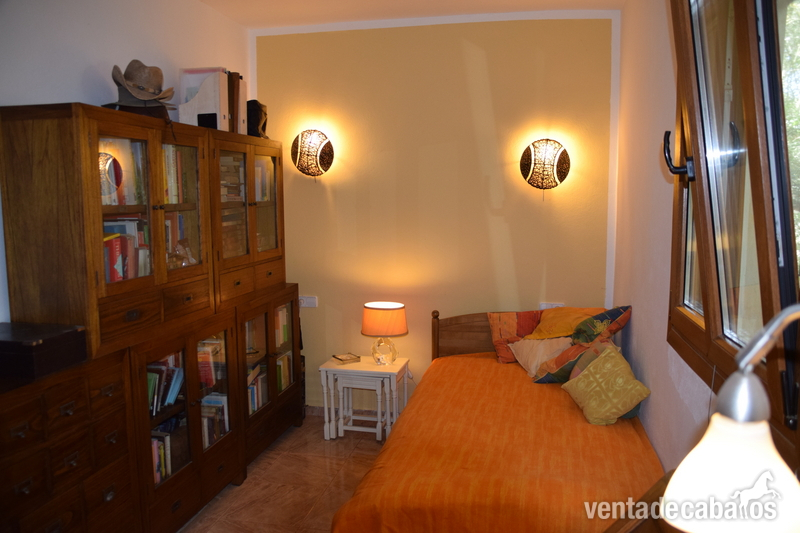 Finca ecuestre - Finca con casa y establos para 3 caballos