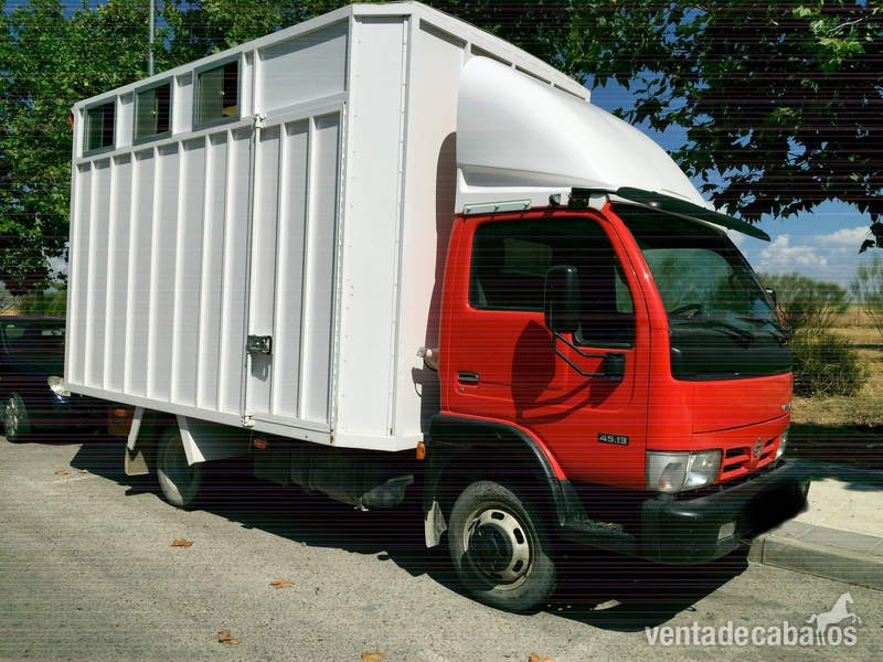Se vende camión para 3 caballos - Transportes de caballos in 