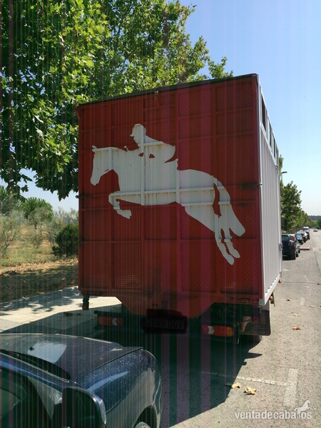 Se vende camión para 3 caballos - Transportes de caballos