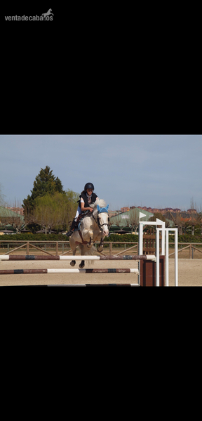 Cruzado {TYPE}