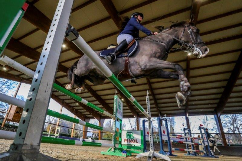 Ponis Pony Club Caballo de Deporte Español (CDE) - CDE (pony D) salto