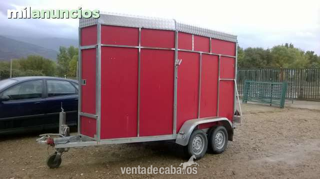 Alquiler van in 