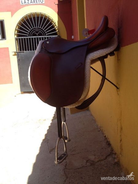 Montura inglesa in 