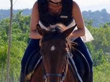 El Madroño Compartir caballos 