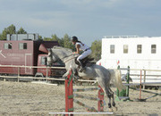 Yegua de CCE en venta