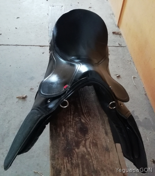 MONTURAS EN VENTA - Sillas de montar in 
