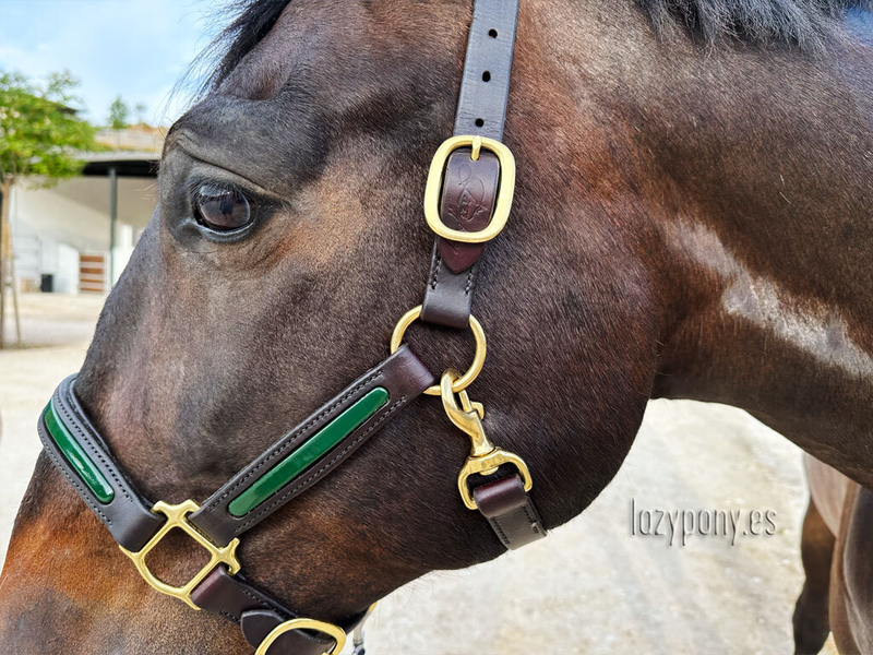 Patent leather halter Lazypony, cabezada de cuarda, custom headstall in 