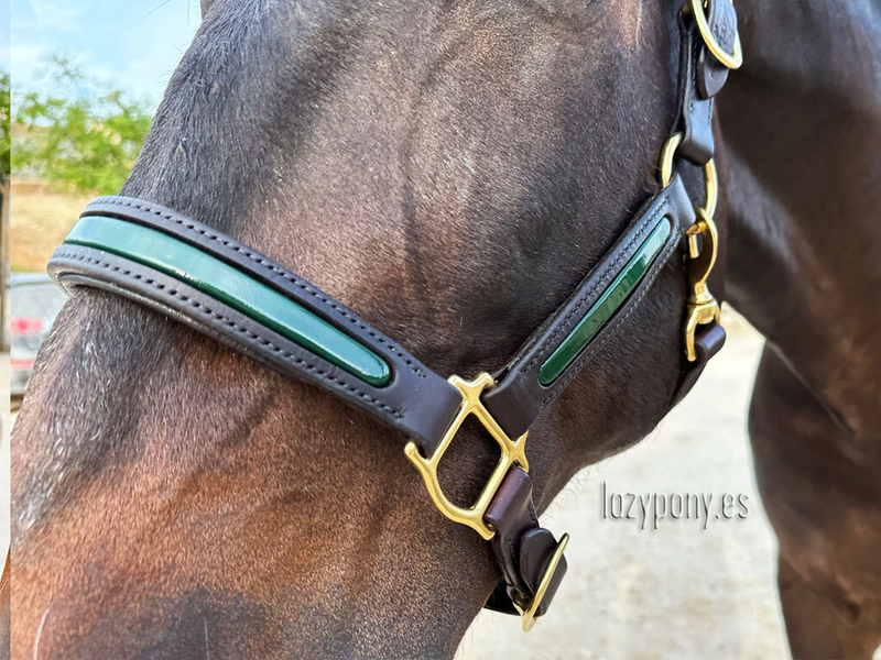 Patent leather halter Lazypony, cabezada de cuarda, custom headstall