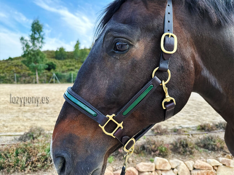  Patent leather halter Lazypony, cabezada de cuarda, custom headstall